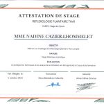 Attestation de stage Réflexologie plantaire thaï