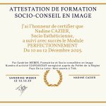 Attestation Socio-conseil en image – Perfectionnement
